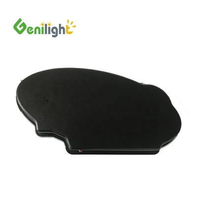 60*30cm 화면 크기 디자인 LED 및 SDK 기능과 함께 전자 네온 표지판